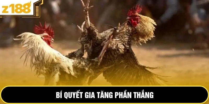 Bí quyết gia tăng phần thắng