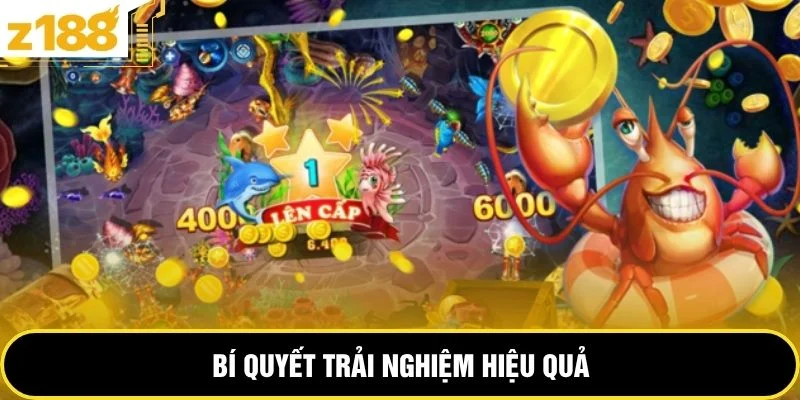 Bí quyết trải nghiệm hiệu quả