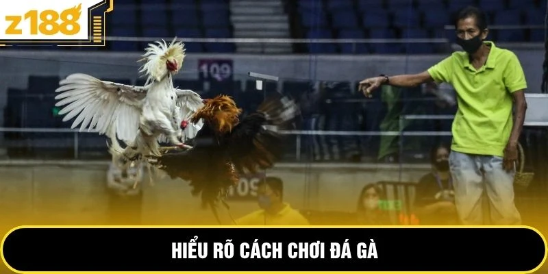 Hiểu rõ cách chơi đá gà