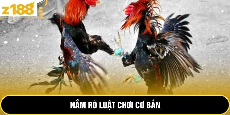 Nắm rõ luật chơi cơ bản