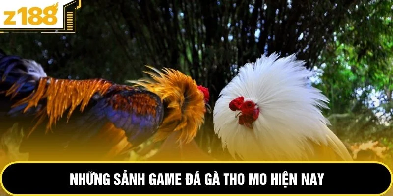 Những sảnh game đá gà tho mo hiện nay