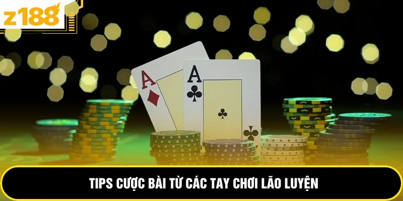Tips cược bài từ các tay chơi lão luyện